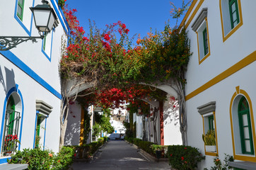 Colorful alley blossom at Gran Canaria, Spain