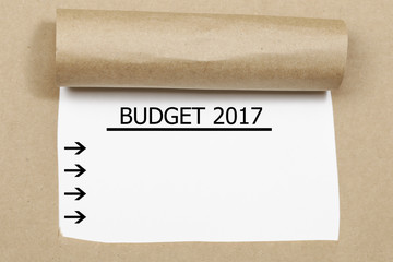 Budget 2017 word written under torn paper.