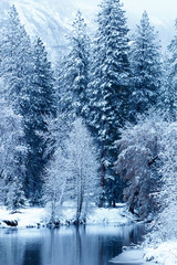 Merced river blanketed with snow