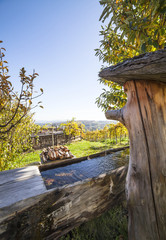 Naklejka premium Wooden fountain with fresh clear water in garten with vineyards
