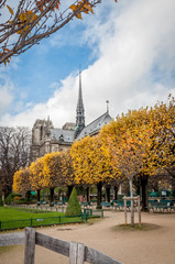 Notre Dame de Paris en hiver