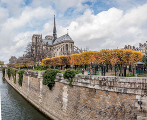 Notre Dame de Paris en hiver