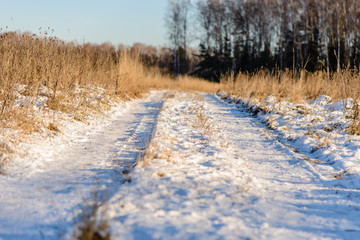 Road through a snowy field