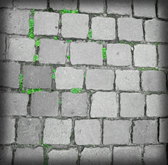 Black and white brick road with green grass