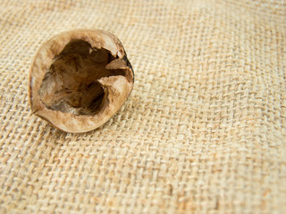 empty half nutshell on a patch of hemp bag