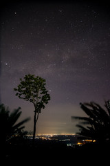 Fototapeta premium Starry night and milkyway with trees ang citylight.