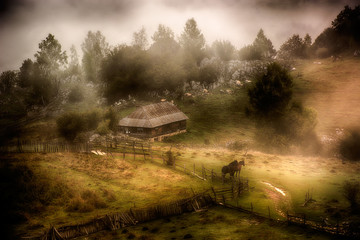 Fototapeta na wymiar mountain landscape in summer morning - Fundatura Ponorului, Romania