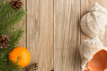 trees and tangerines on a wooden table. Seashells, Mauchle