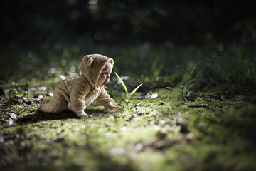 Young baby in a bear outfit crawling