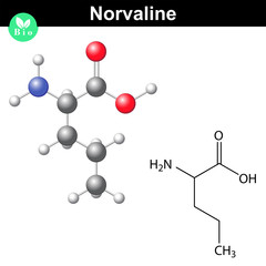 Norvaline amino acid structure