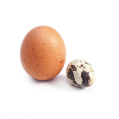Two eggs - chicken and quail