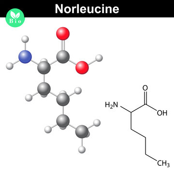 Norleucine amino acid formula