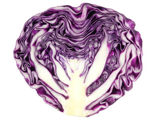 Fresh Ripe Bright Red Cabbage Cut in Half, Close-up  
