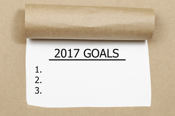 2017 GOALS written under torn paper