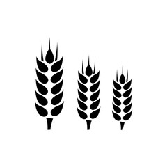Wheat Icon Flat