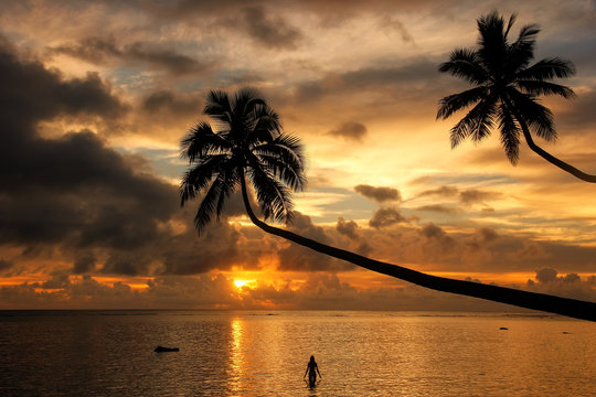 Silhouette of leaning palm trees and a woman at sunrise on Taveu