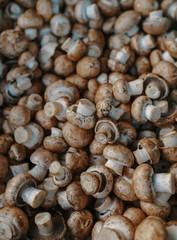Raw fresh Champignon mushrooms. Vegetable on a pile.