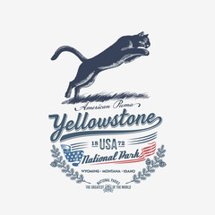 Американская Пума, Национальный парк Уеллоустоун, иллюстрация, вектор, синий цвет