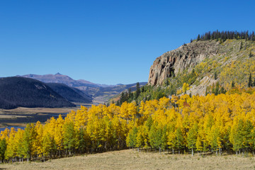 Fototapeta premium Mountain valley during fall colors in Colorado