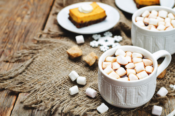 hot cocoa with mini marshmallows