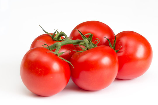 Tomaten auf wei&szlig;em Hintergrund