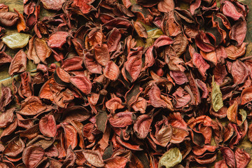 Dry red petals for wallpaper