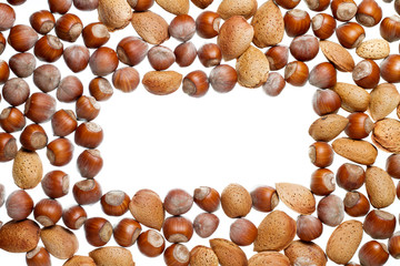 Hazelnuts and almonds