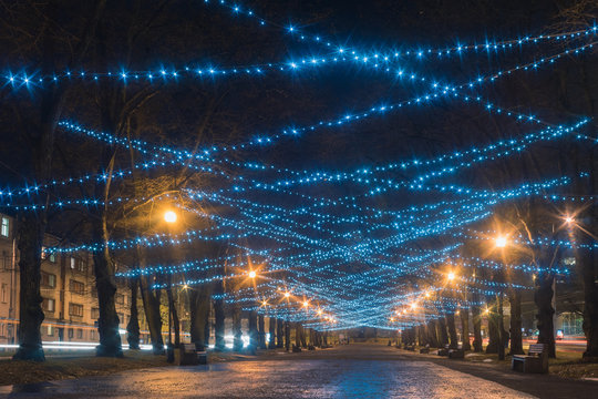 Fototapeta Empty illuminated boulevard, outdoor christmas decoration