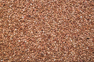 buckwheat background, texture
