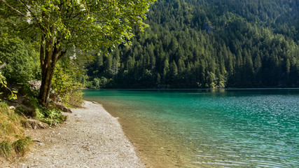Turquoise lake in the mountains. Summer view of the typical Tovel Lake, Val di Non, Trentino Italy. Lago di Tovel