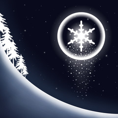 Obraz na płótnie Canvas Winter Night Snowflake
