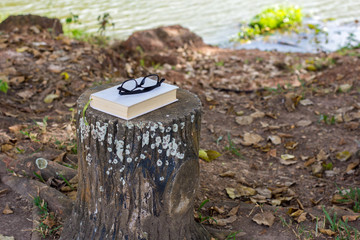 Books with glasses resting on a bench in the park.
