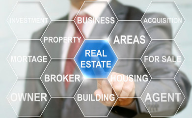 Estate info-text graphics and arrangement concept. Business wordcloud representing words related to...