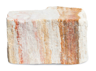 Wood opal isolated on white with clipping path