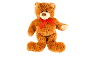 toy teddy bear isolated on white