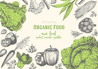 Vegetables top view frame. Organic food poster. Vector illustration. Linear graphic.