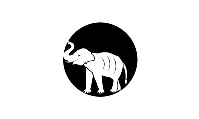 elephant in the circle logo