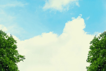 Obraz premium Summer background, blue sky with clouds and trees sunny photo