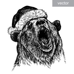 Brown bear, black and white engrave. Christmas hat. Vector