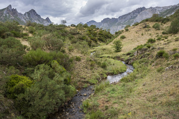 Fototapeta na wymiar Views of the river Rio del Lago, in Somiedo Nature Reserve. It is located in the central area of the Cantabrian Mountains in the Principality of Asturias in northern Spain