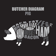 Butcher diagram of pork. Pig cuts
