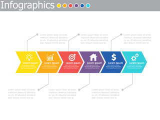 Vector illustration infographic options. Template for brochure, business, web design