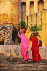 Local women carrying pots with plants on their heads at Amber Fo