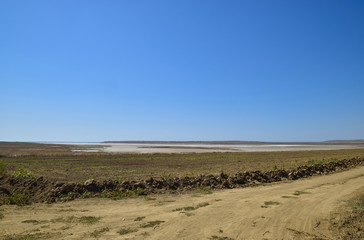 Vineyards near the salt lake. Landscape of grape plantation