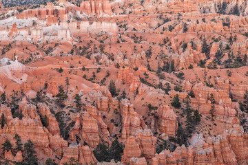 Bryce Canyon National Park Utah Landscape