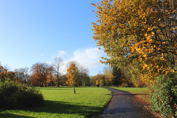 Naklejka premium Sunny english park autumn