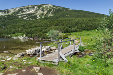 Fototapeta na wymiar wooden bridge over river in Pirin Mountain, Bezbog lake and peak, Bulgaria