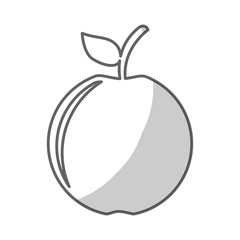 apple fruit icon over white background. vector illustration