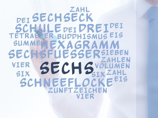 Sechs