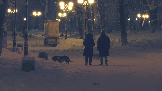 People are walking down the alley of the the winter night park